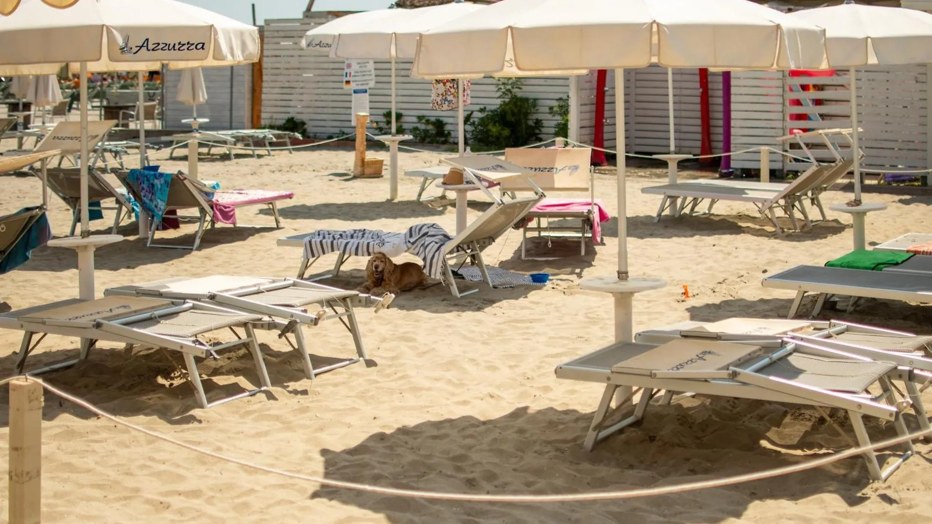 Bed & Breakfast Hotel Negresco Milano Marittima